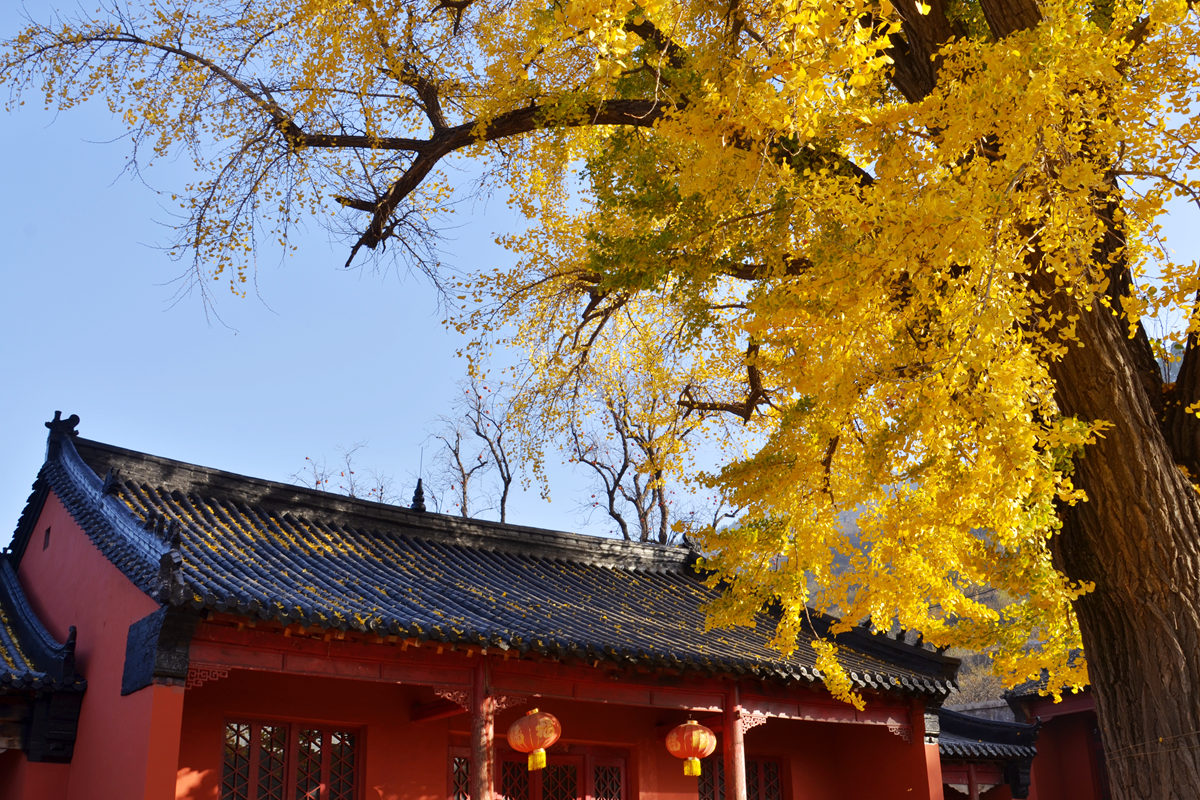 _DSC0028_副本.jpg
