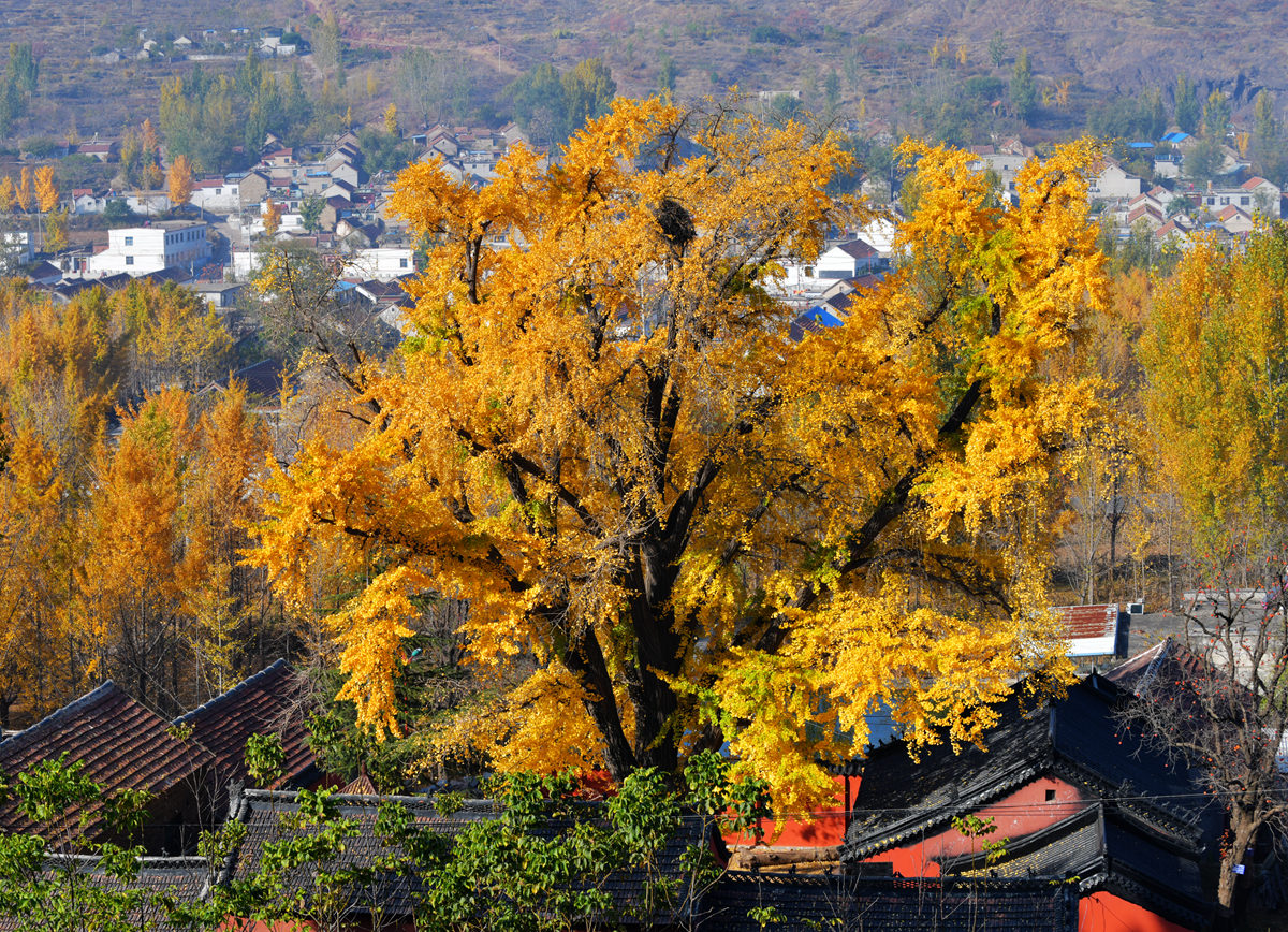 DSC_5282_副本.jpg