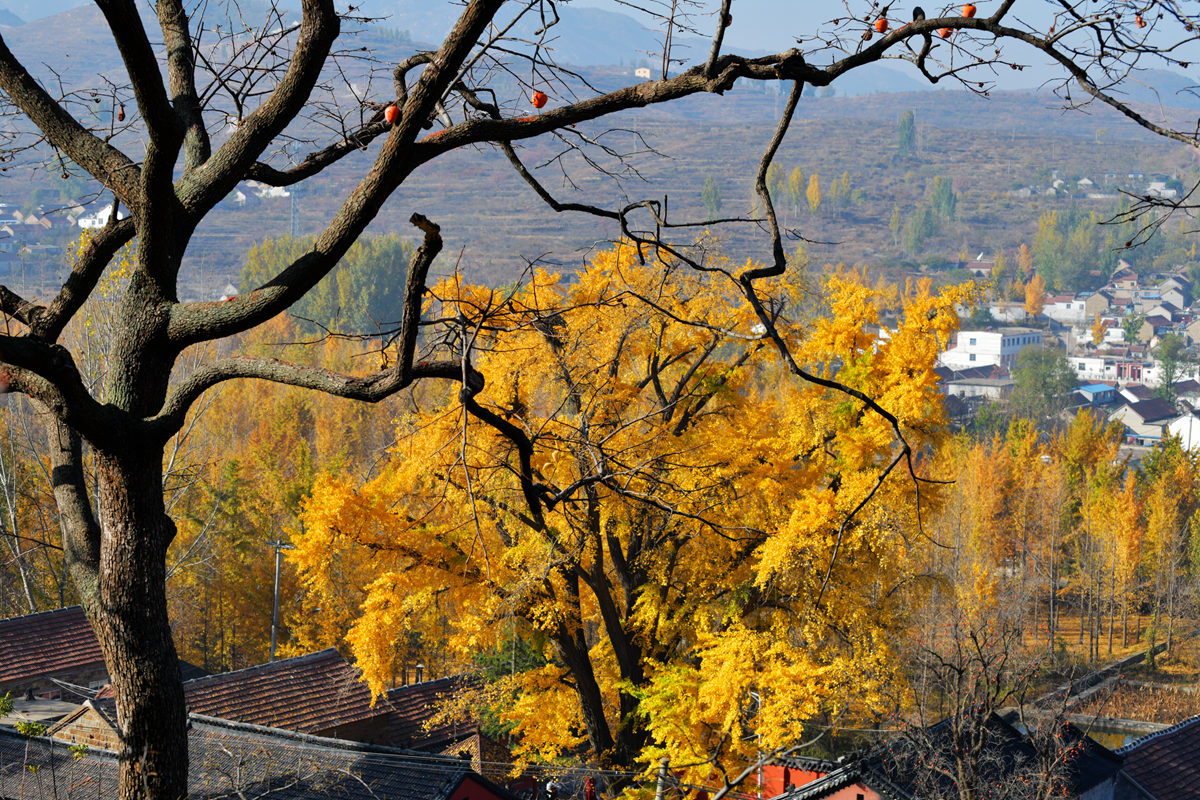 DSC_5291_副本.jpg
