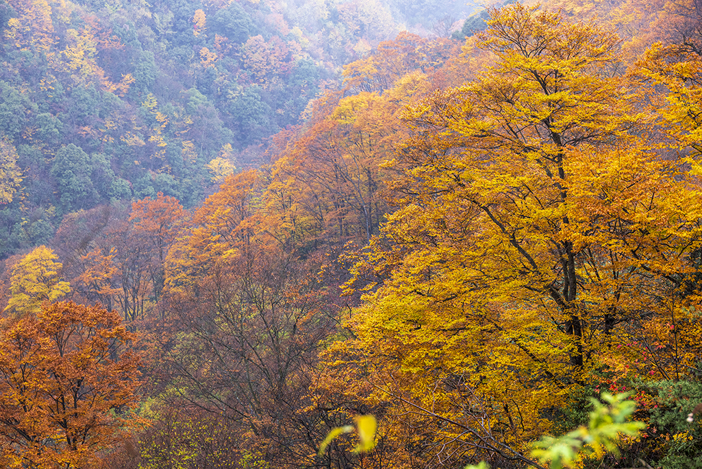 00614A90261.jpg