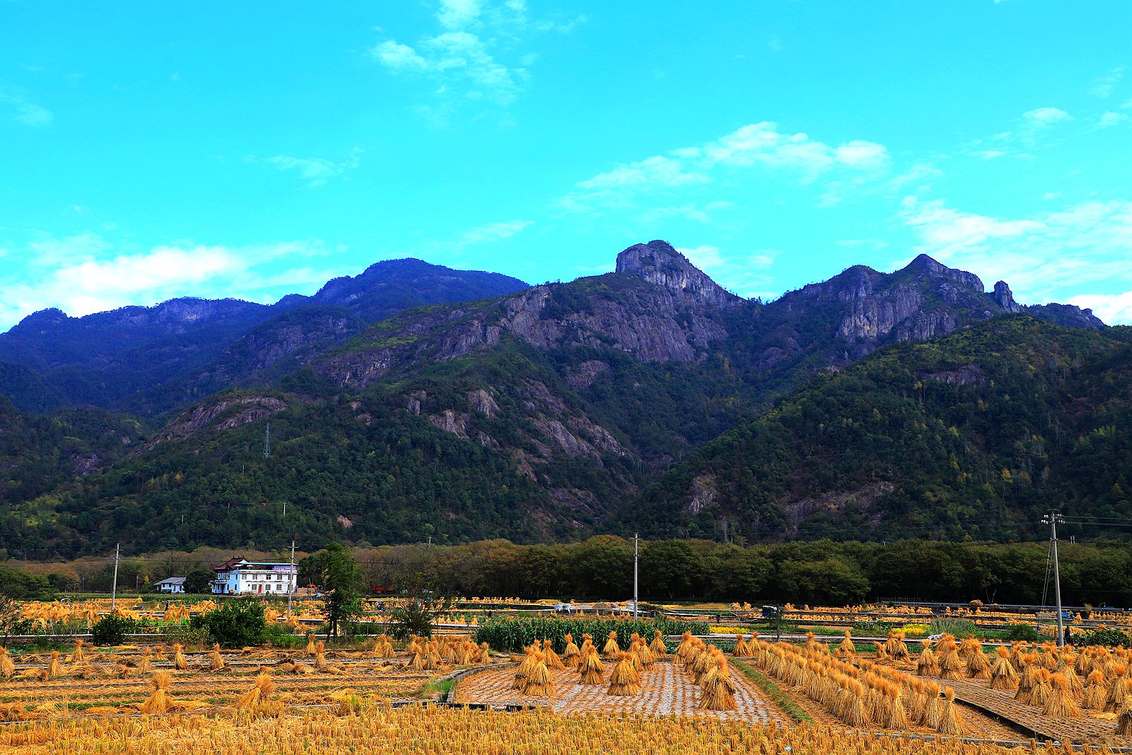 IMG_0989_副本.jpg