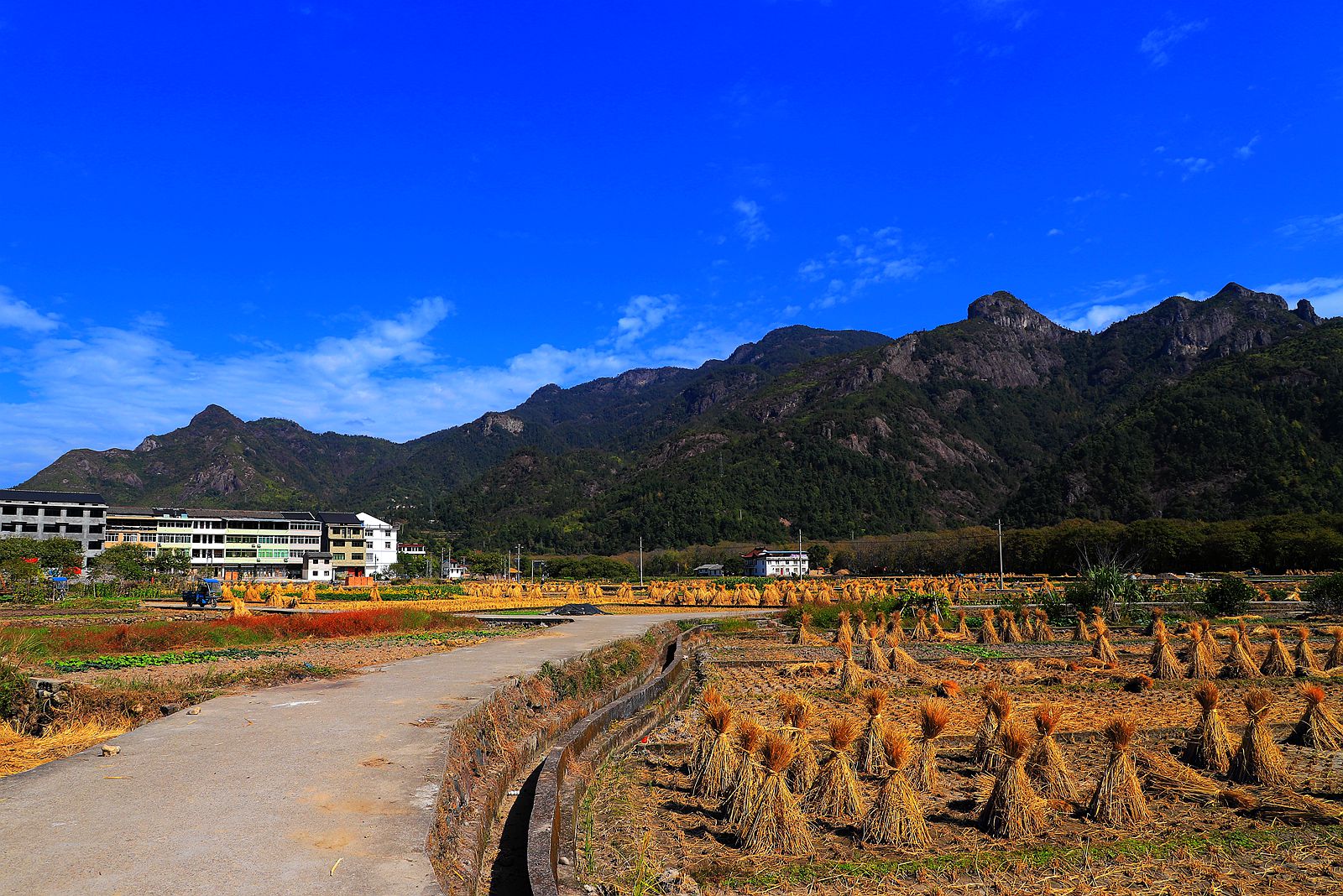 IMG_1010_副本.jpg