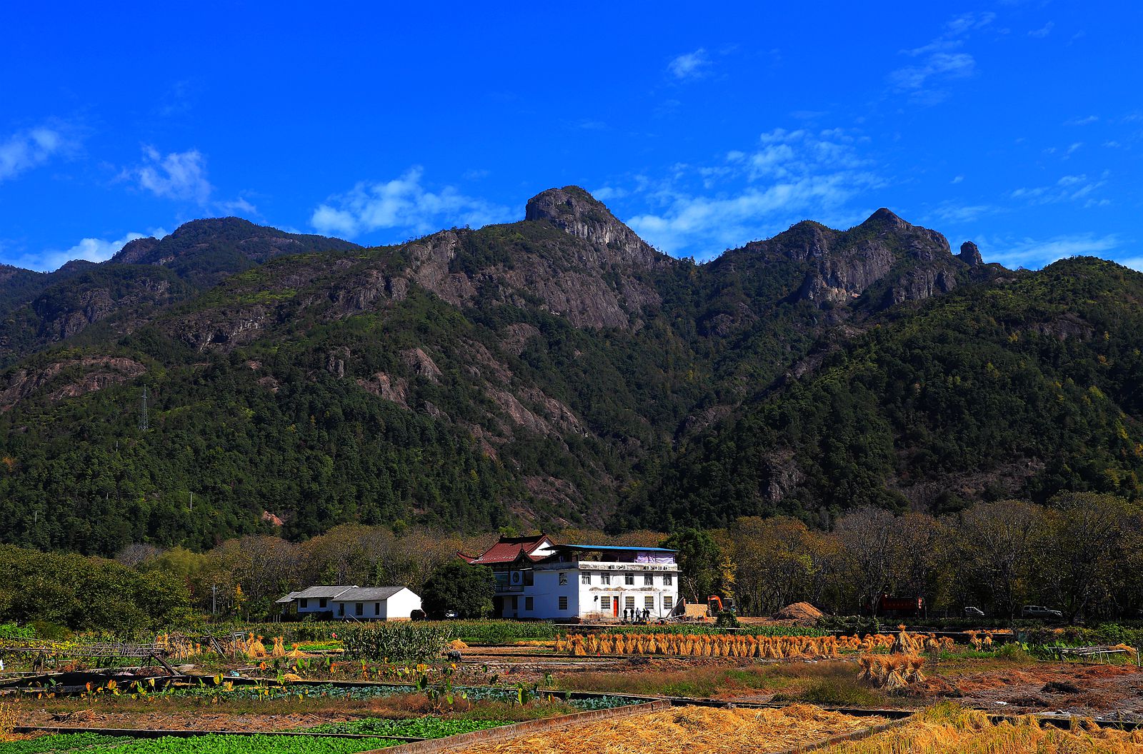 IMG_1016_副本.jpg