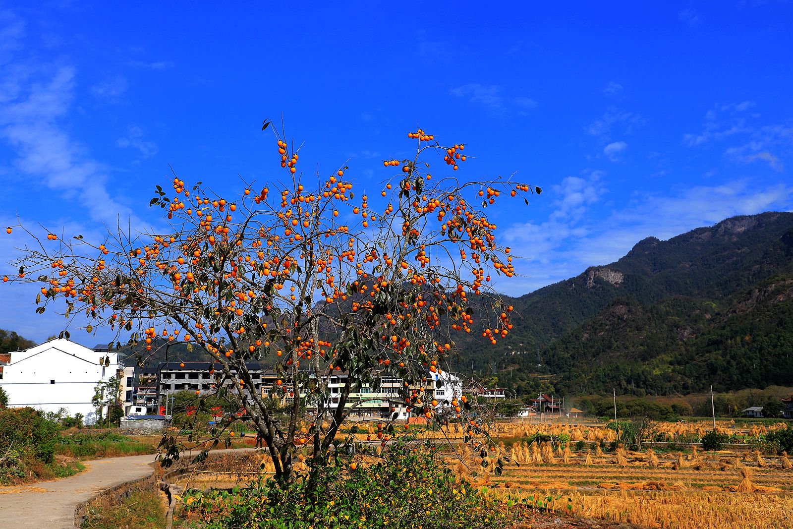 IMG_1004_副本.jpg
