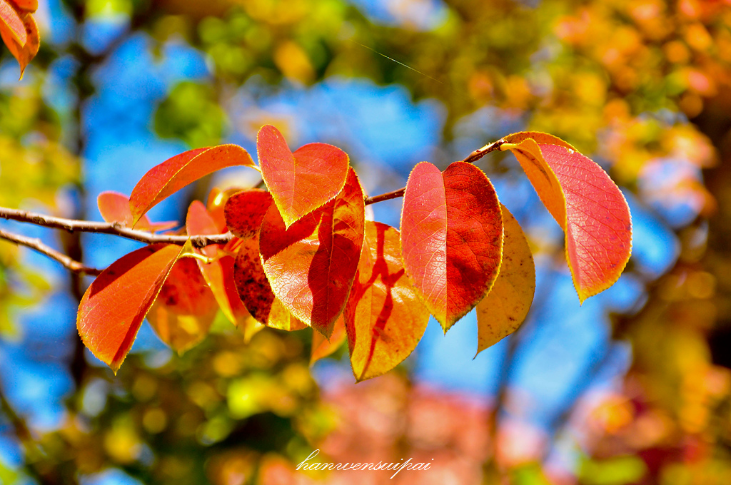 DSC_0026.JPG