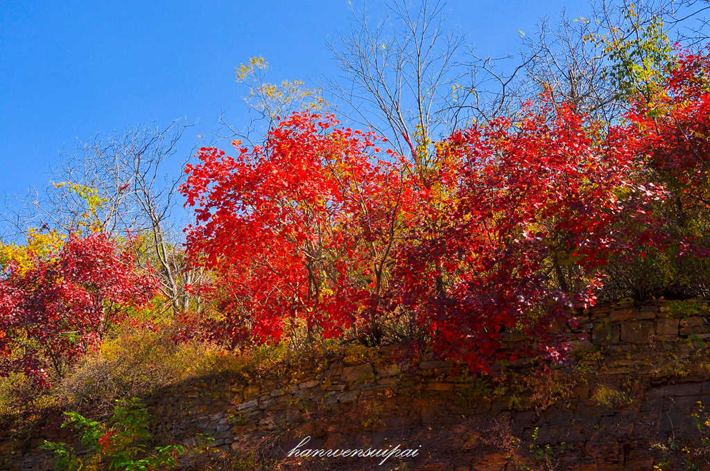 DSC_0032.JPG