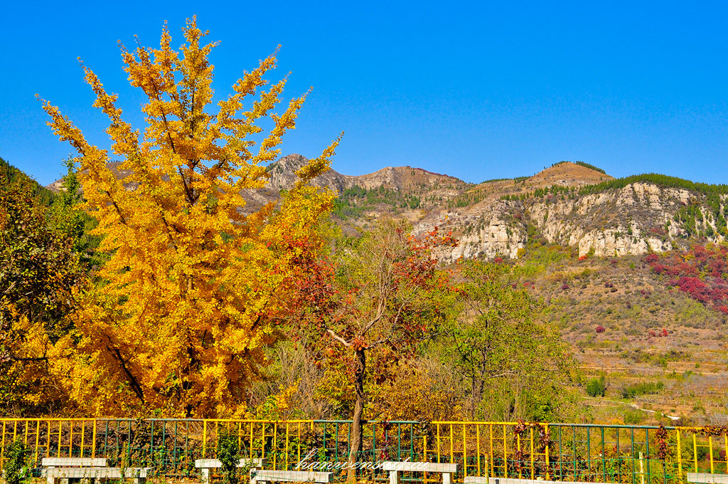 DSC_0043.JPG