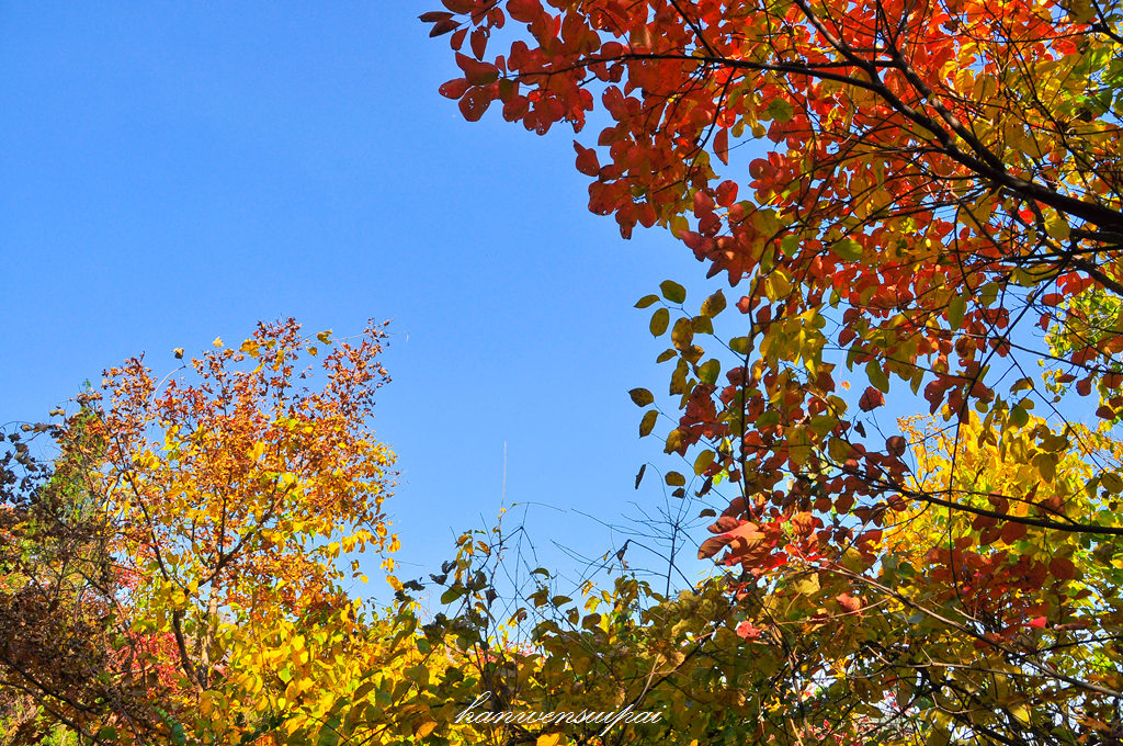 DSC_0054.JPG