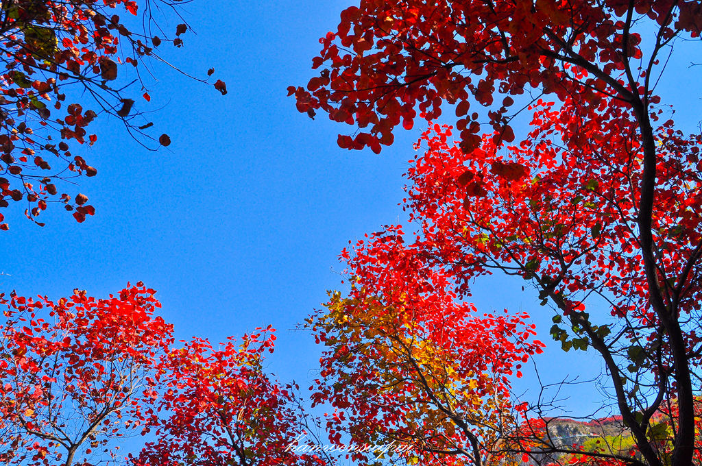 DSC_0053.JPG