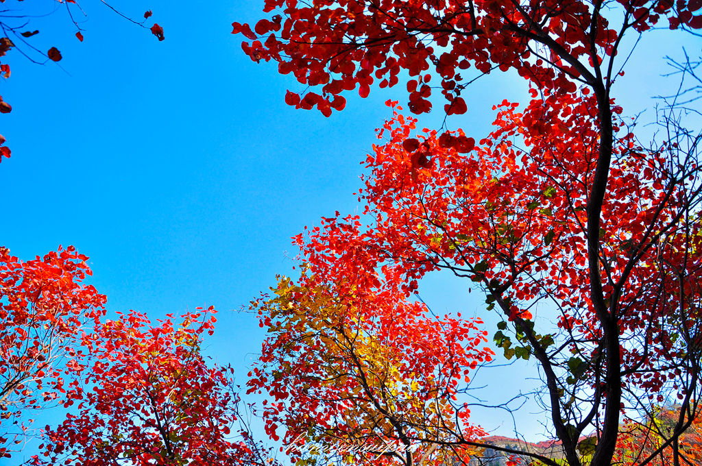 DSC_0052.JPG