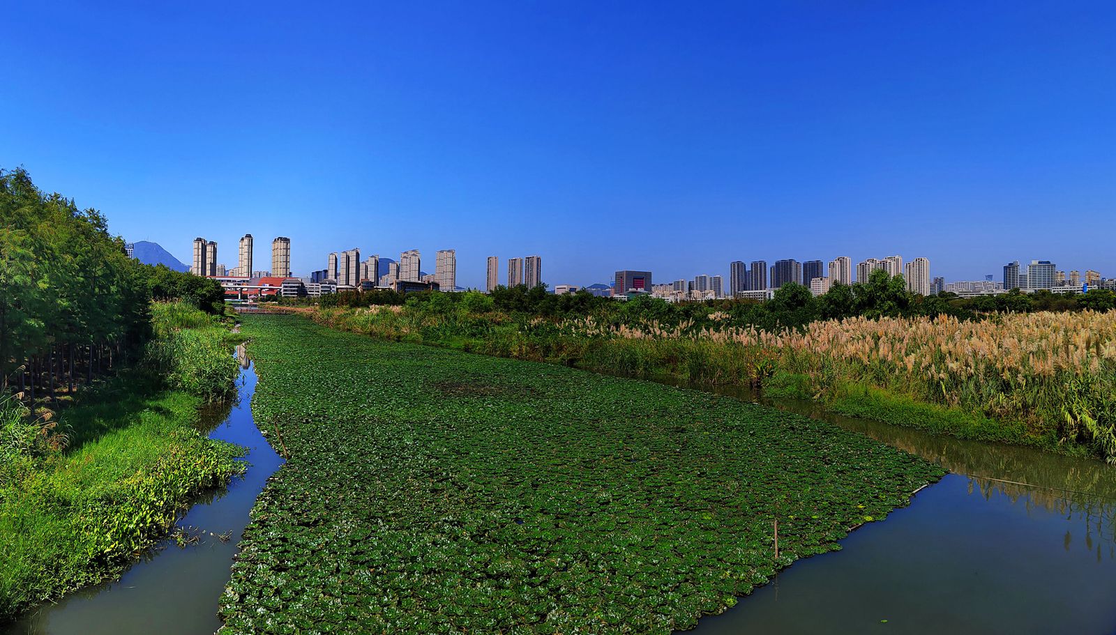 IMG_20220920_101921_副本.jpg