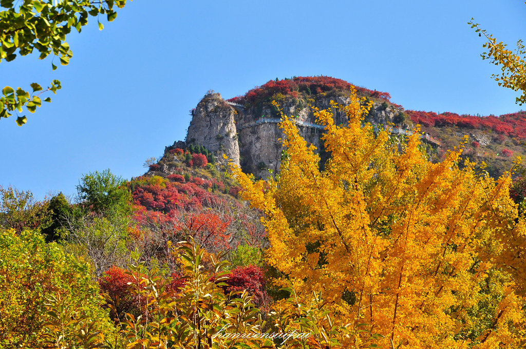 DSC_0070.JPG