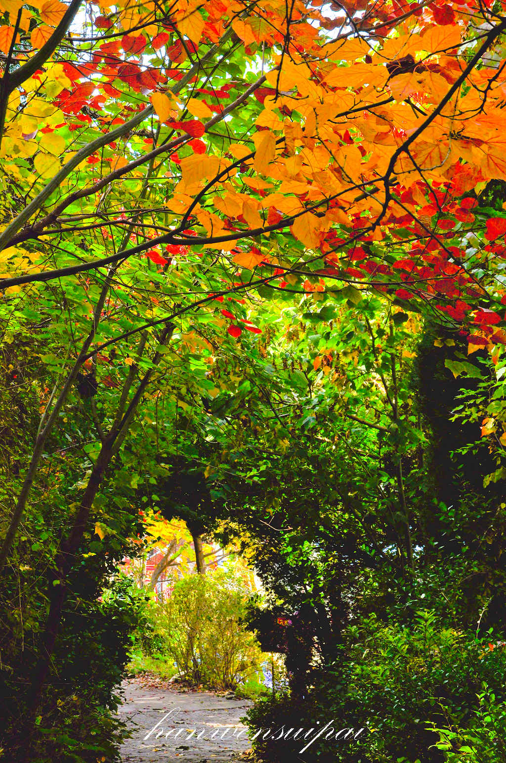 DSC_0074.JPG