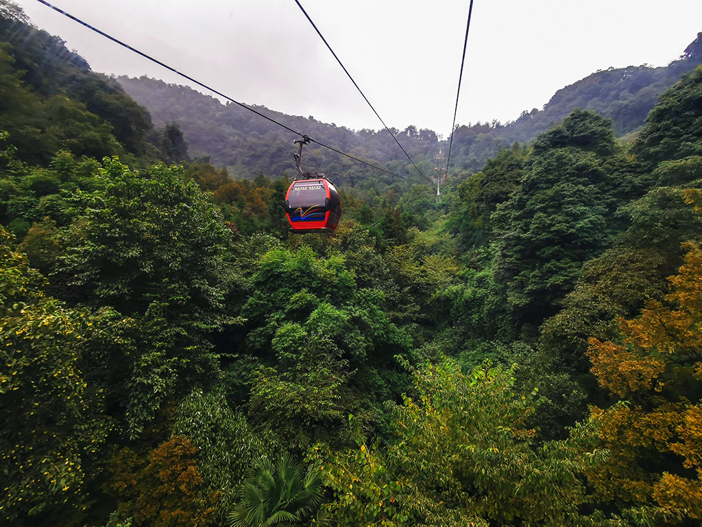 IMG_20221010_104908拷贝.jpg