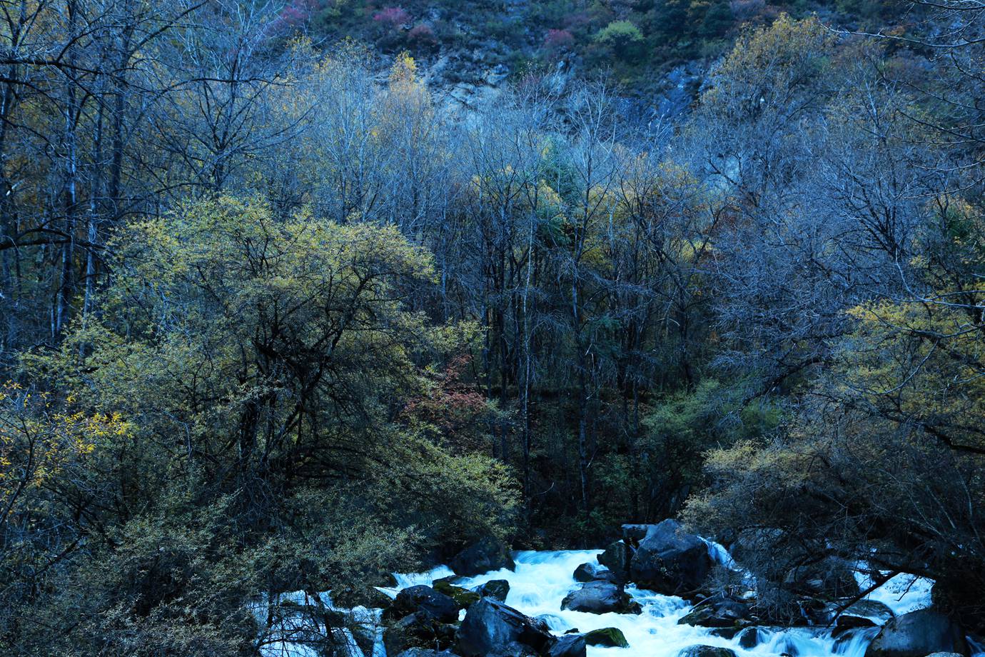 FU2A0054.JPG