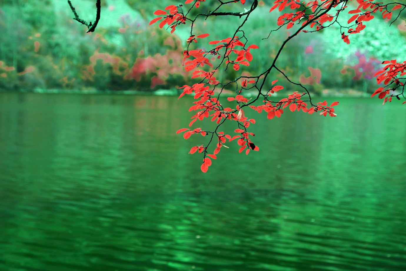 FU2A0069.JPG