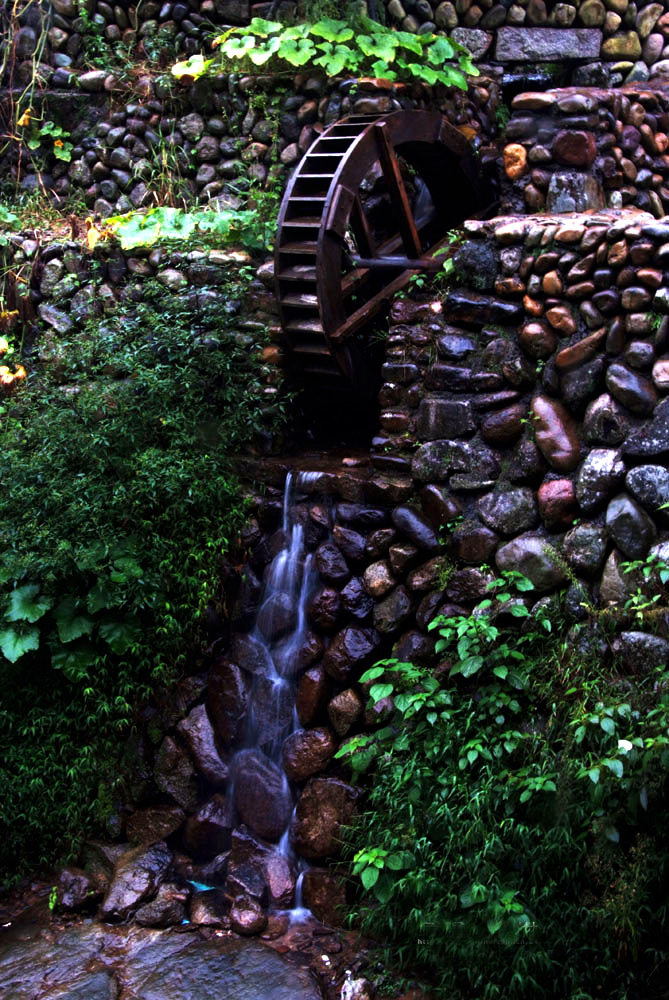 DSCF9865.JPG
