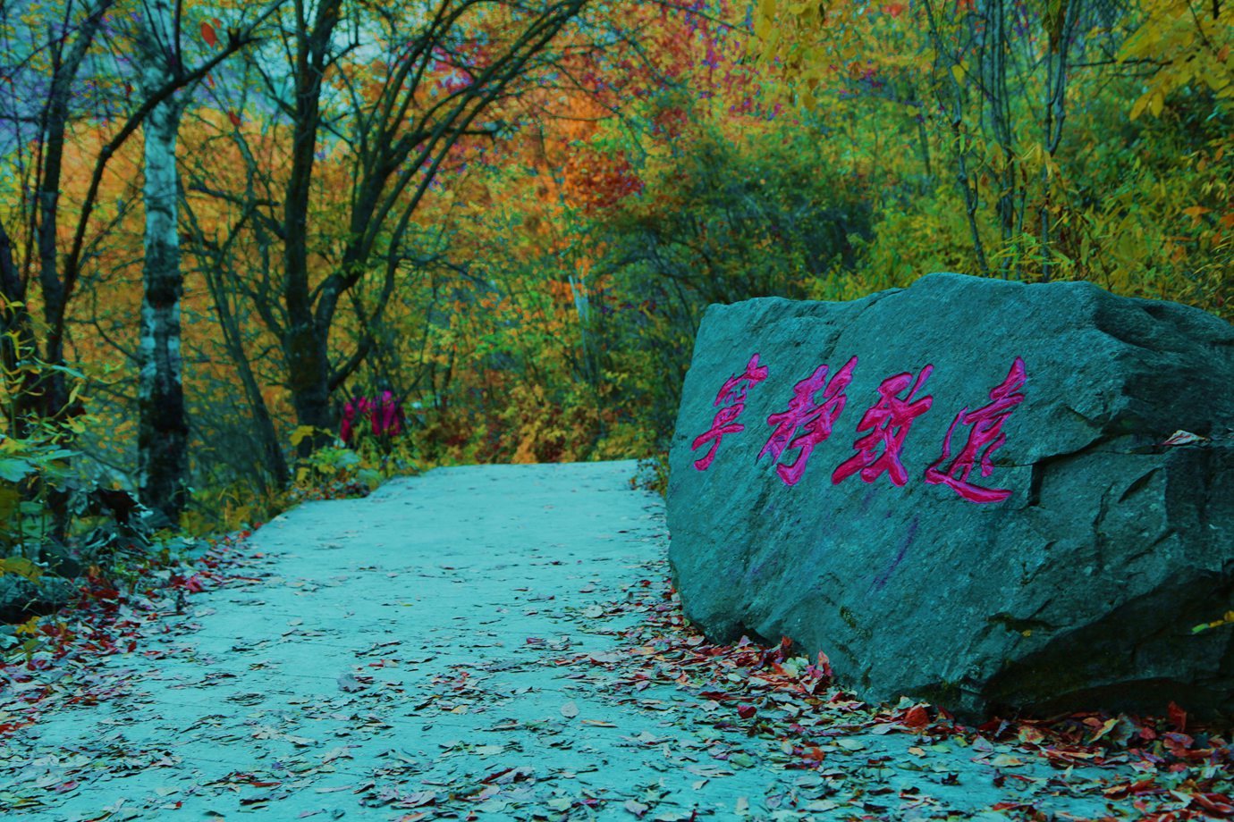 FU2A0084.JPG