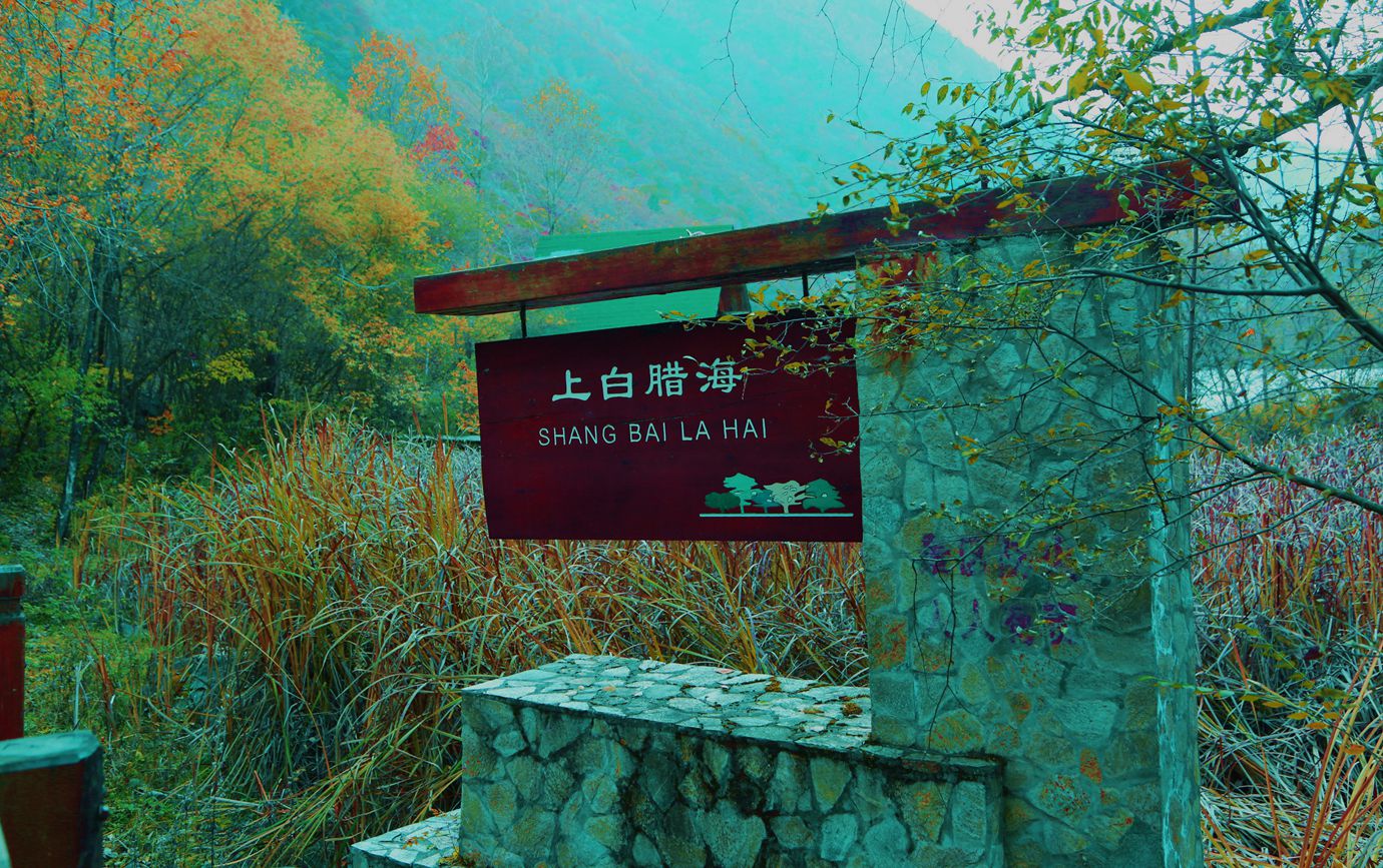 FU2A0086.JPG