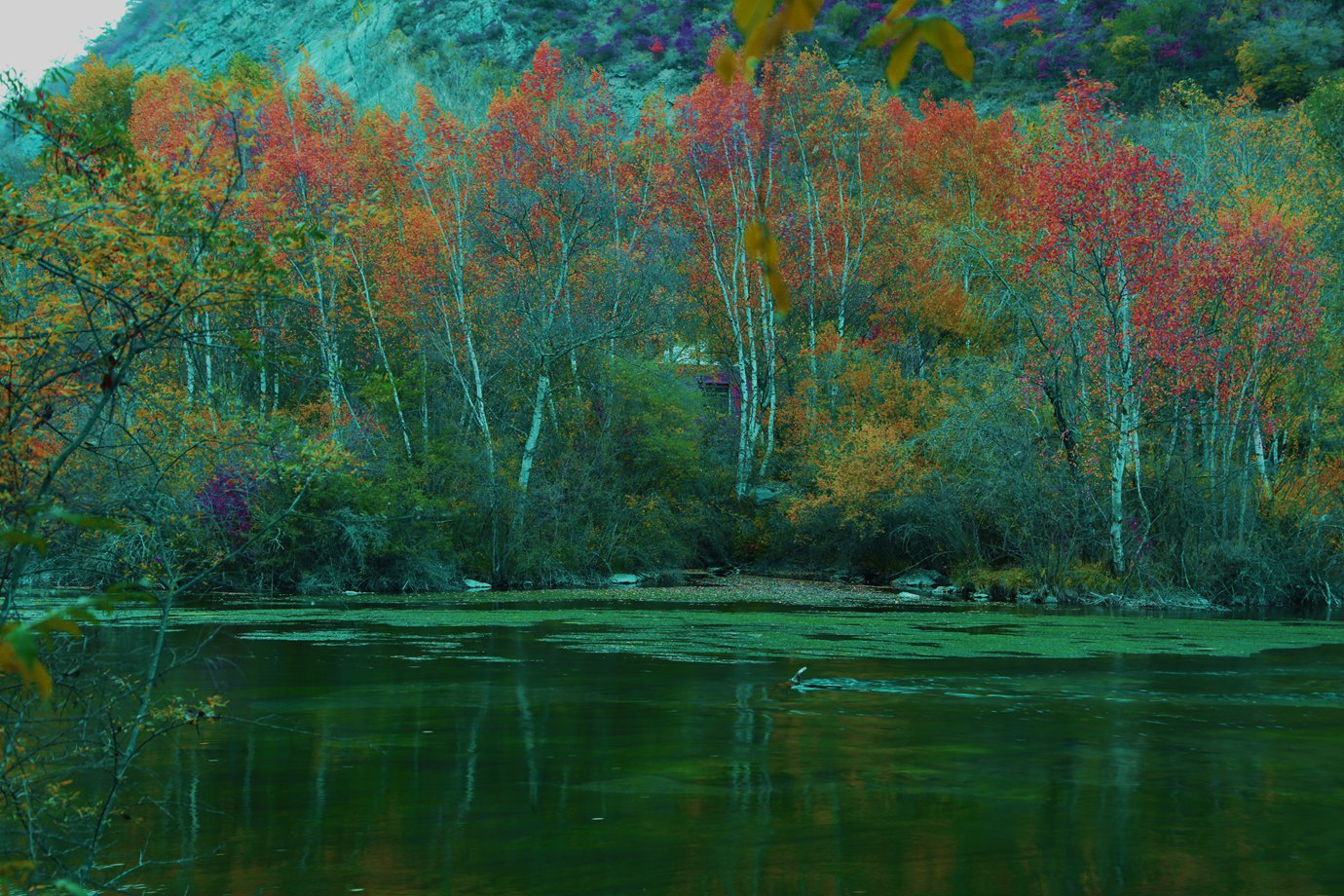 FU2A0097.JPG