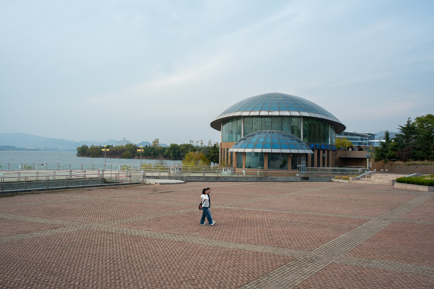 DSC00377.jpg