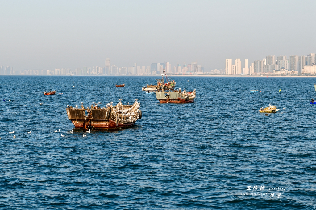 DSC_0560.JPG
