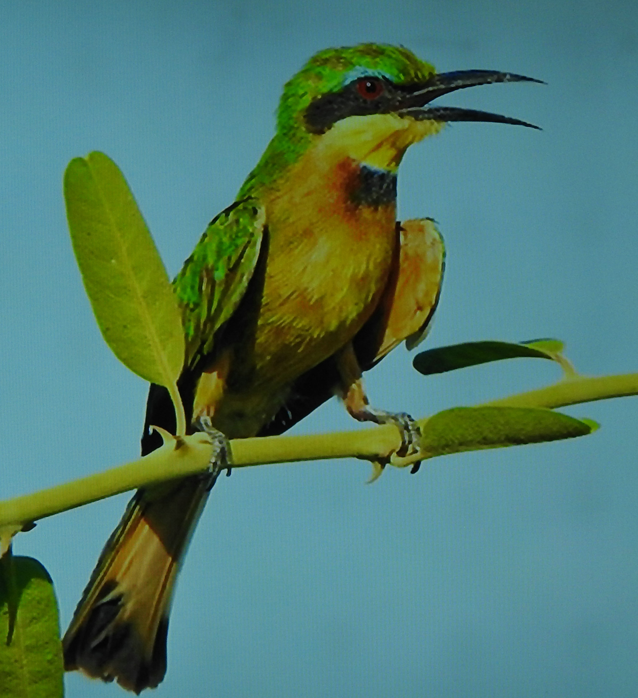 DSCN1512.JPG