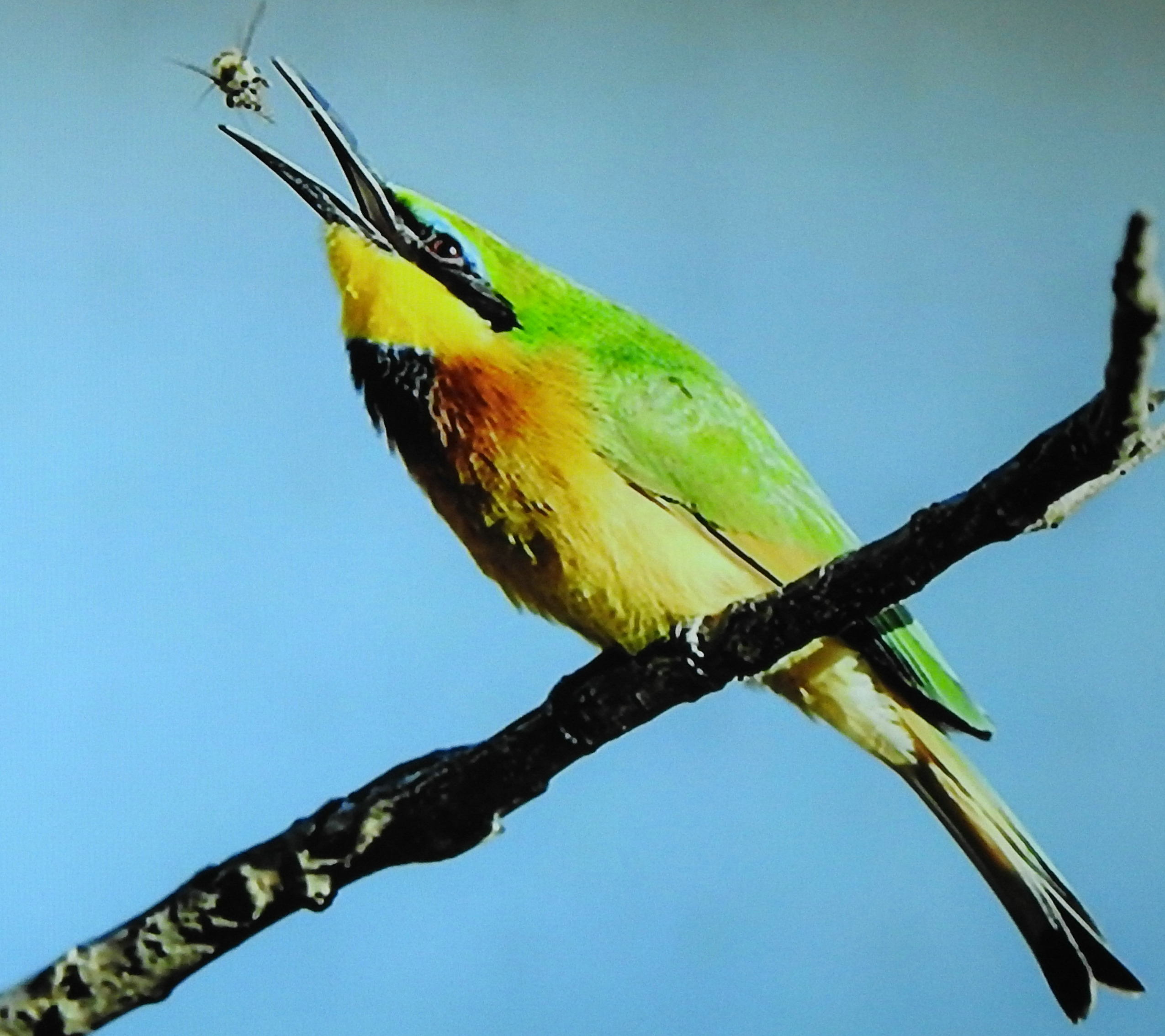 DSCN1514.JPG