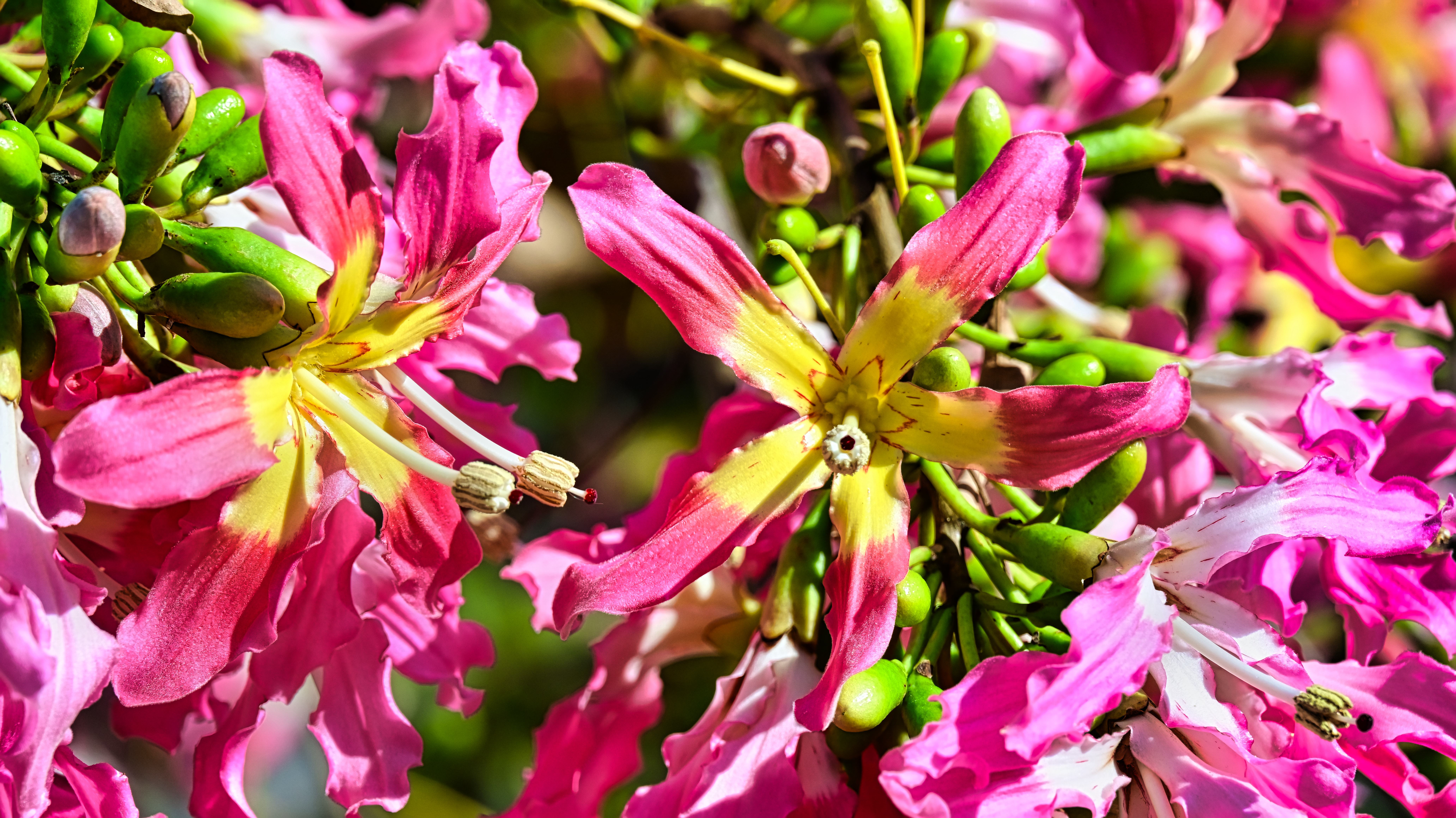 DSC_3035.jpg