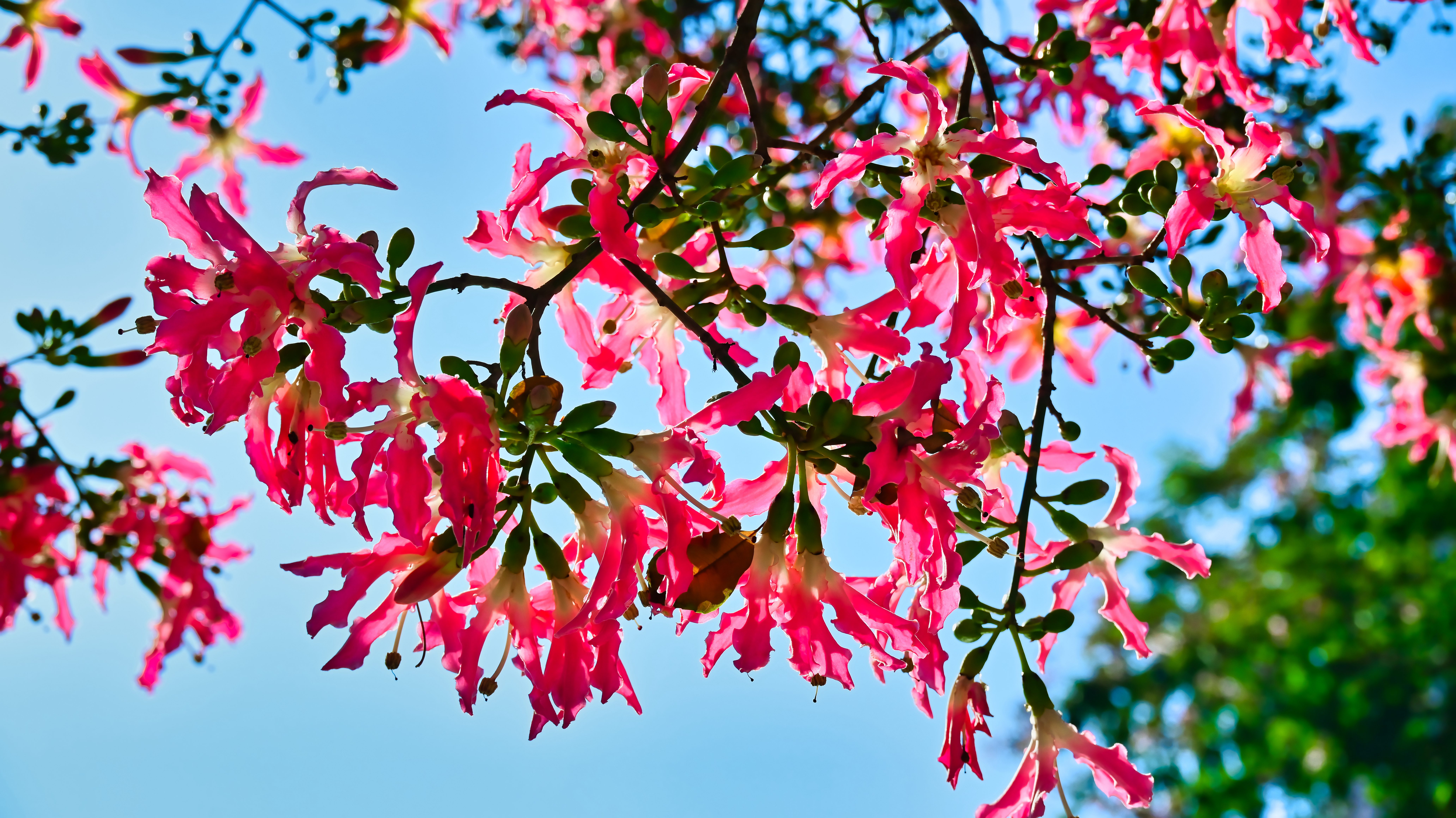 DSC_3046_副本.jpg
