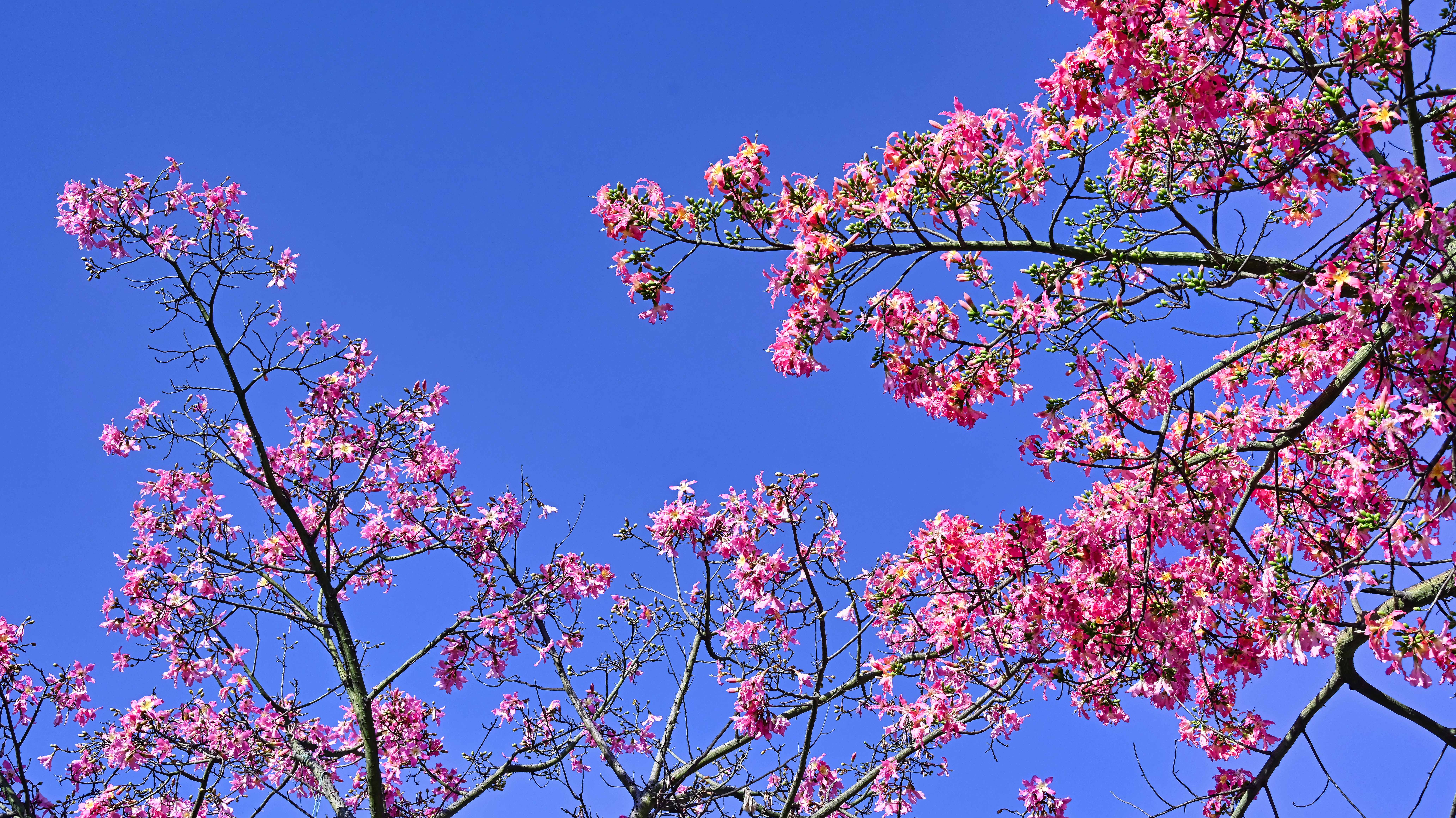 DSC_3048_副本.jpg