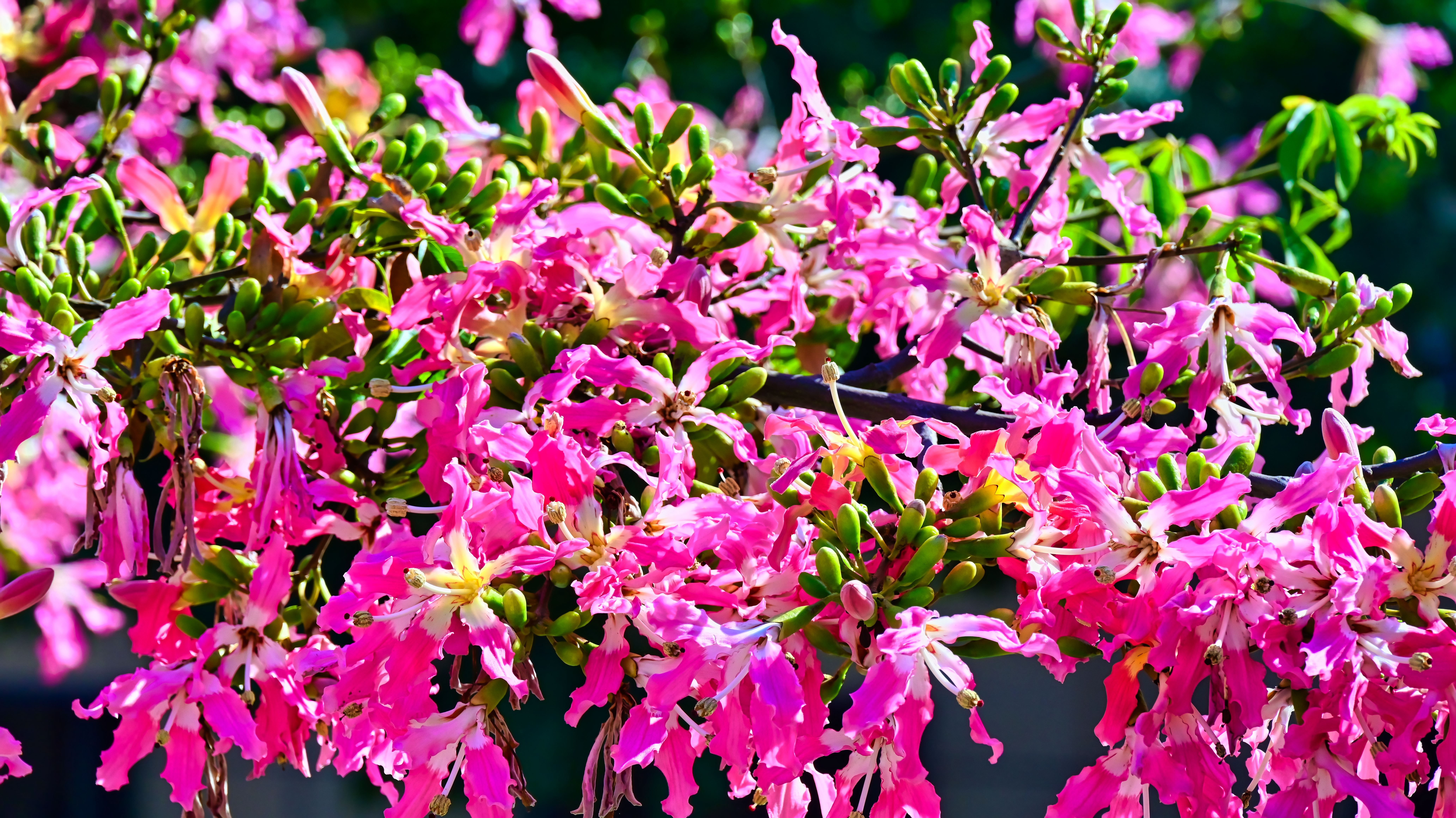 DSC_3059_副本.jpg
