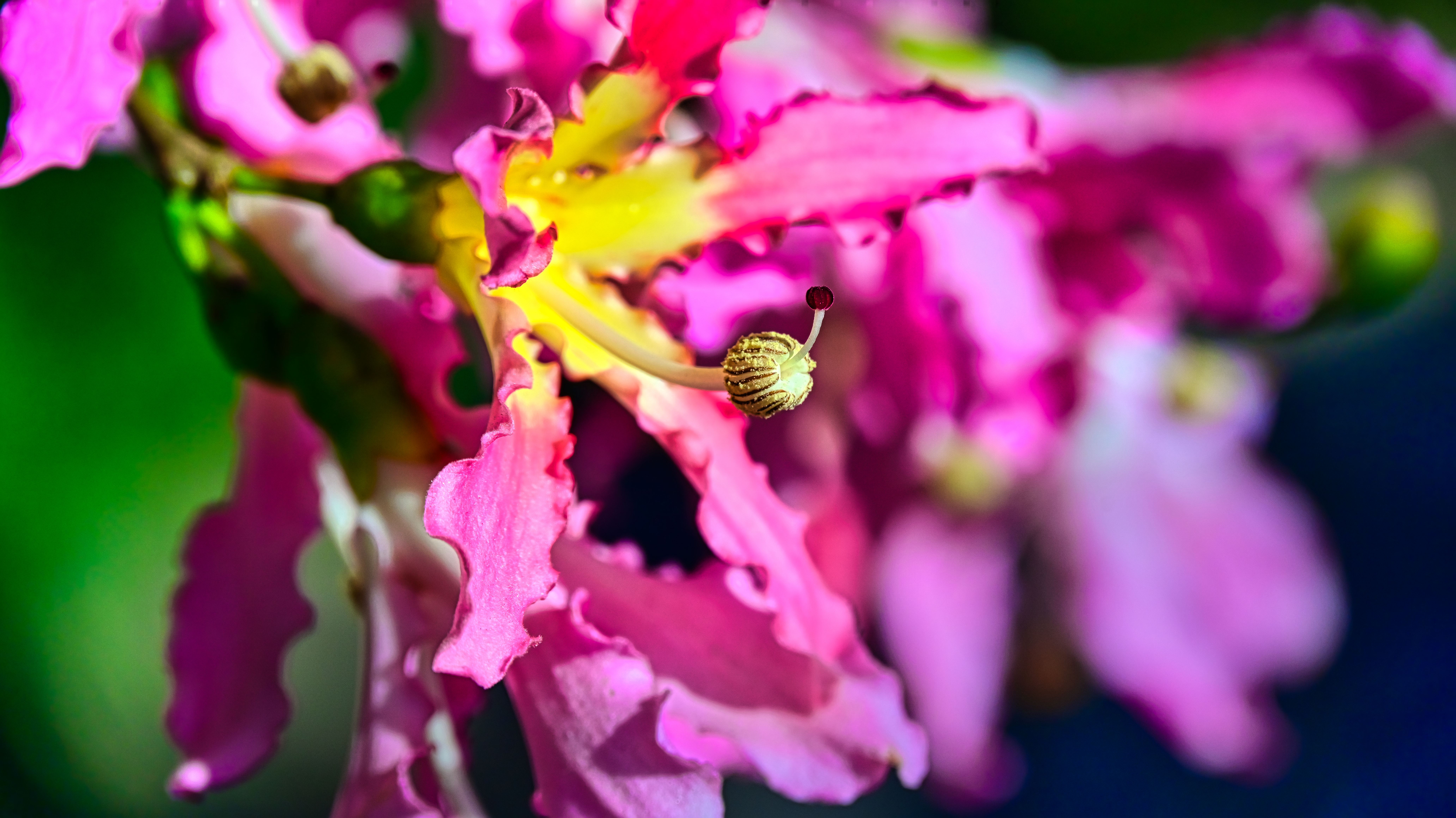 DSC_3182_副本.jpg
