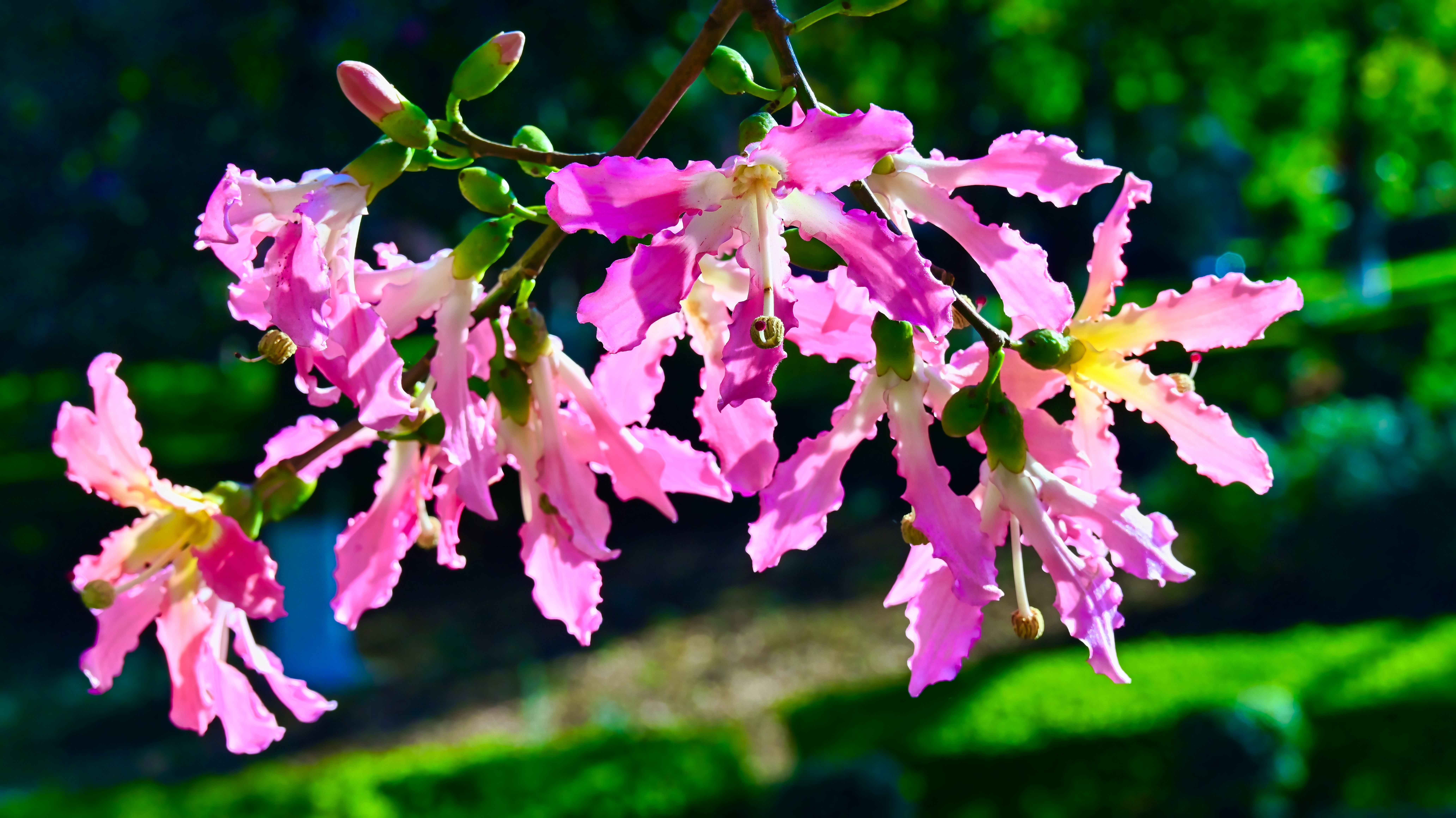 DSC_3185_副本.jpg