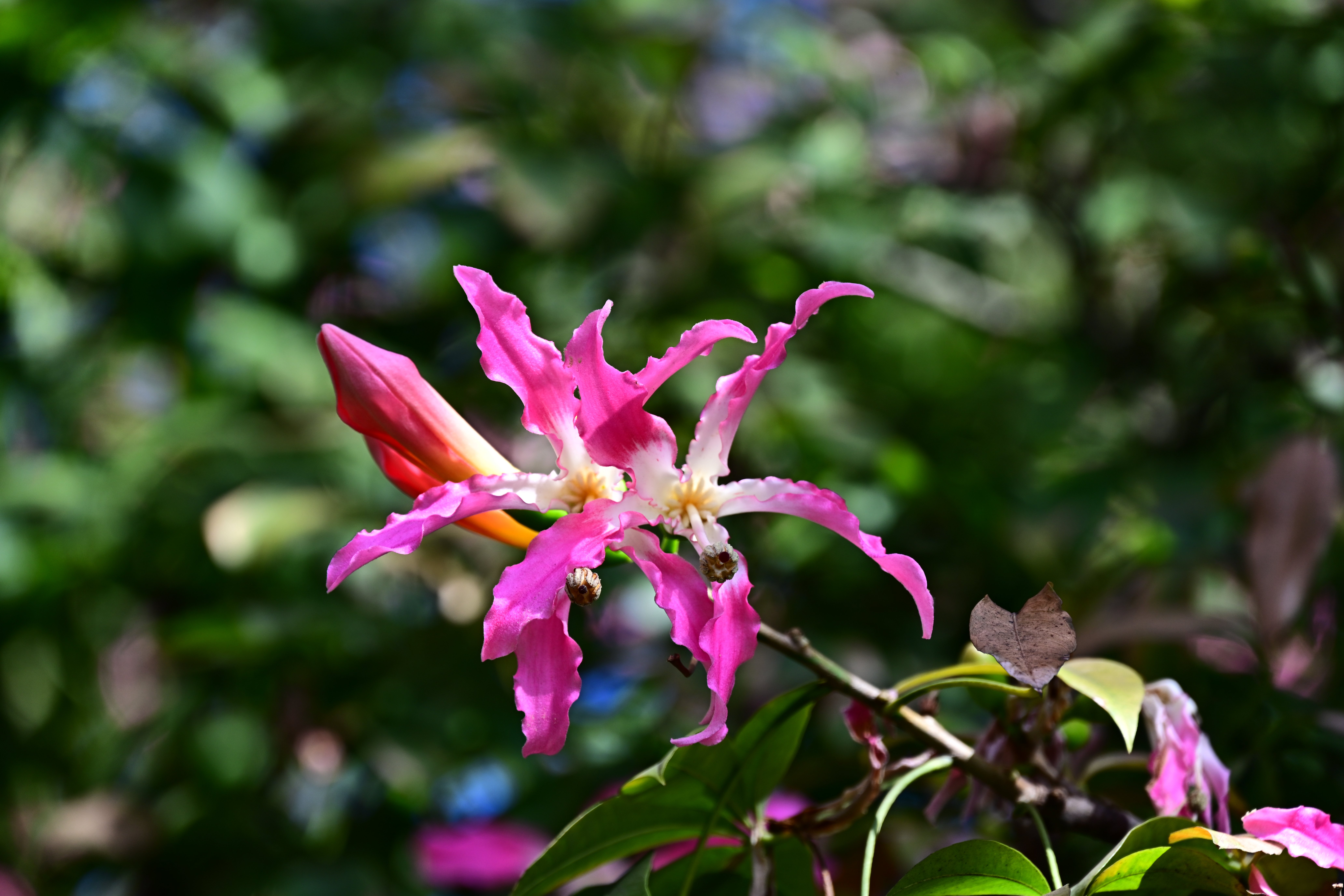 DSC_7869_副本.jpg