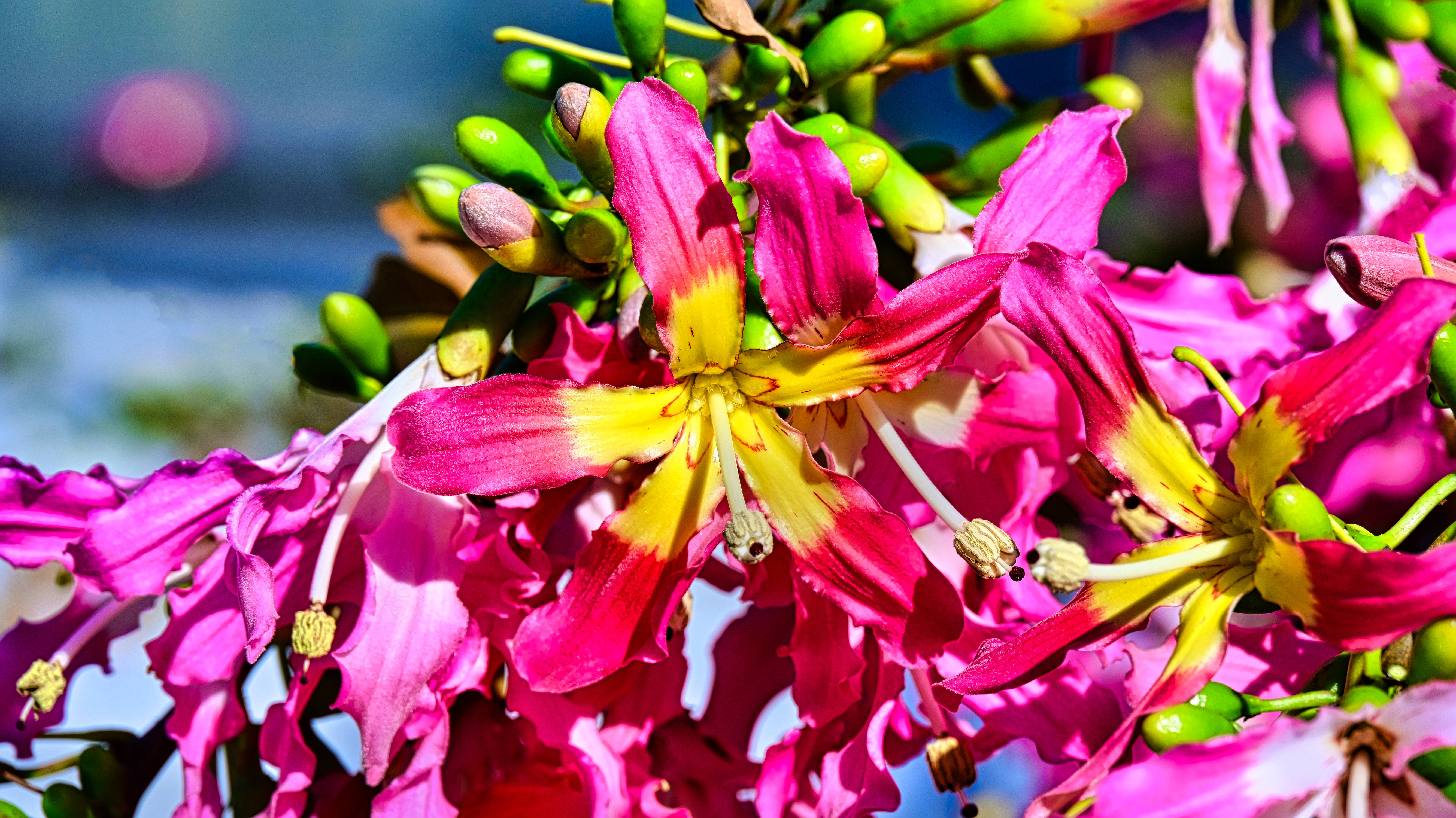 DSC_7881_副本.jpg