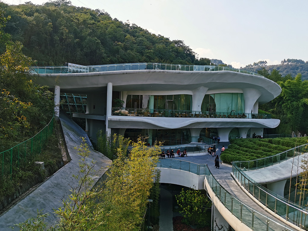 IMG_20221031_151639拷贝.jpg
