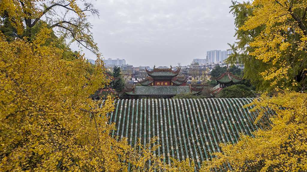 DJI_00081.jpg