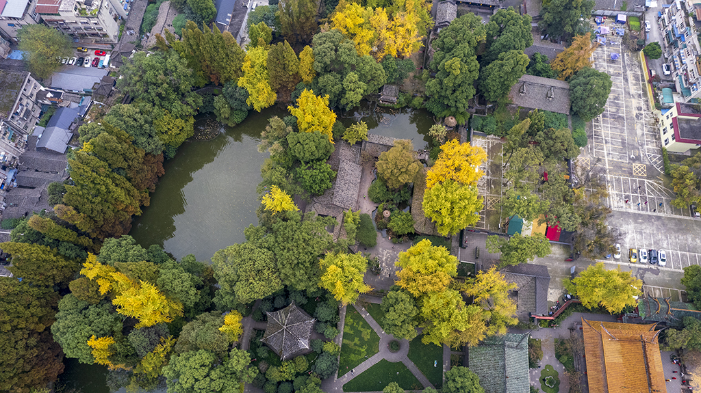 DJI_09051.jpg