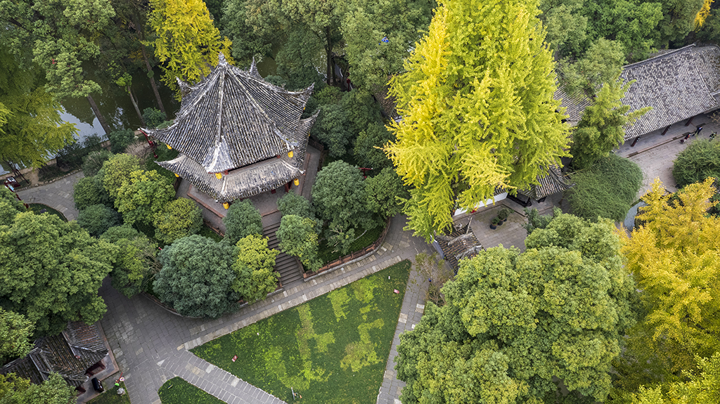 DJI_09171.jpg
