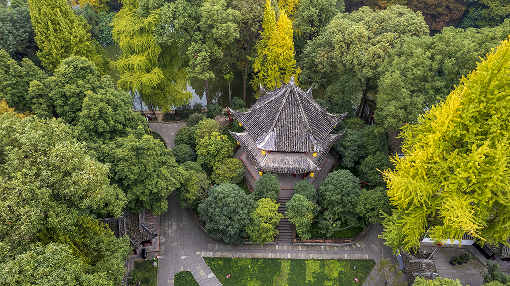 DJI_09211.jpg