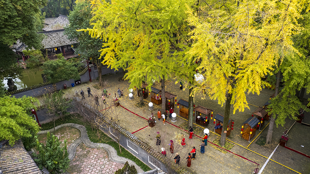 DJI_09581.jpg