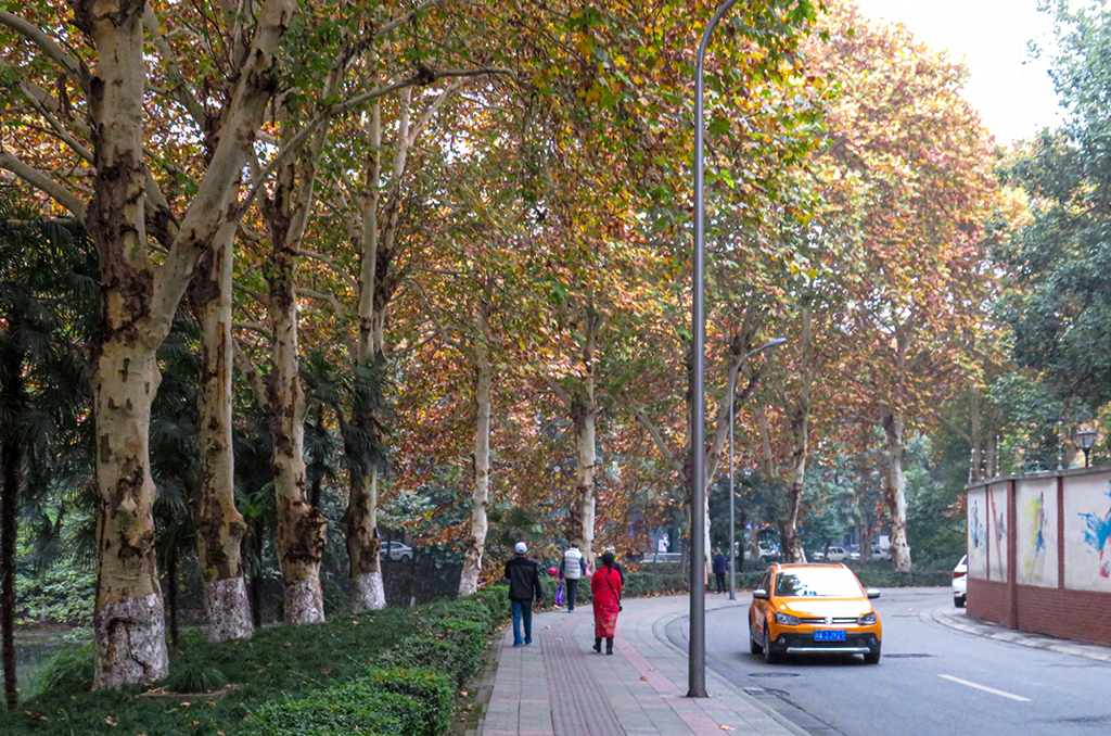 0IMG_14111.jpg