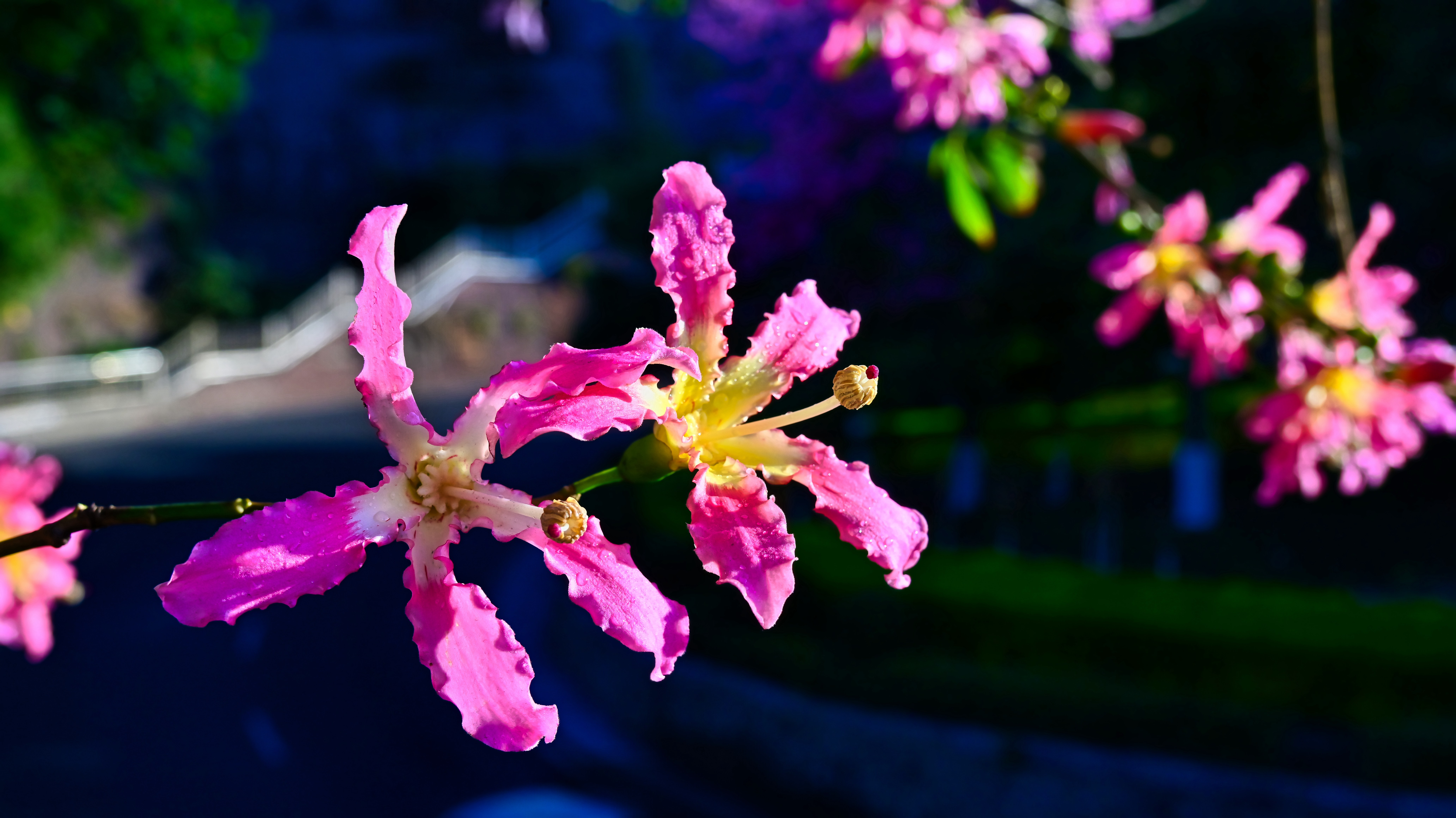 DSC_3197.jpg