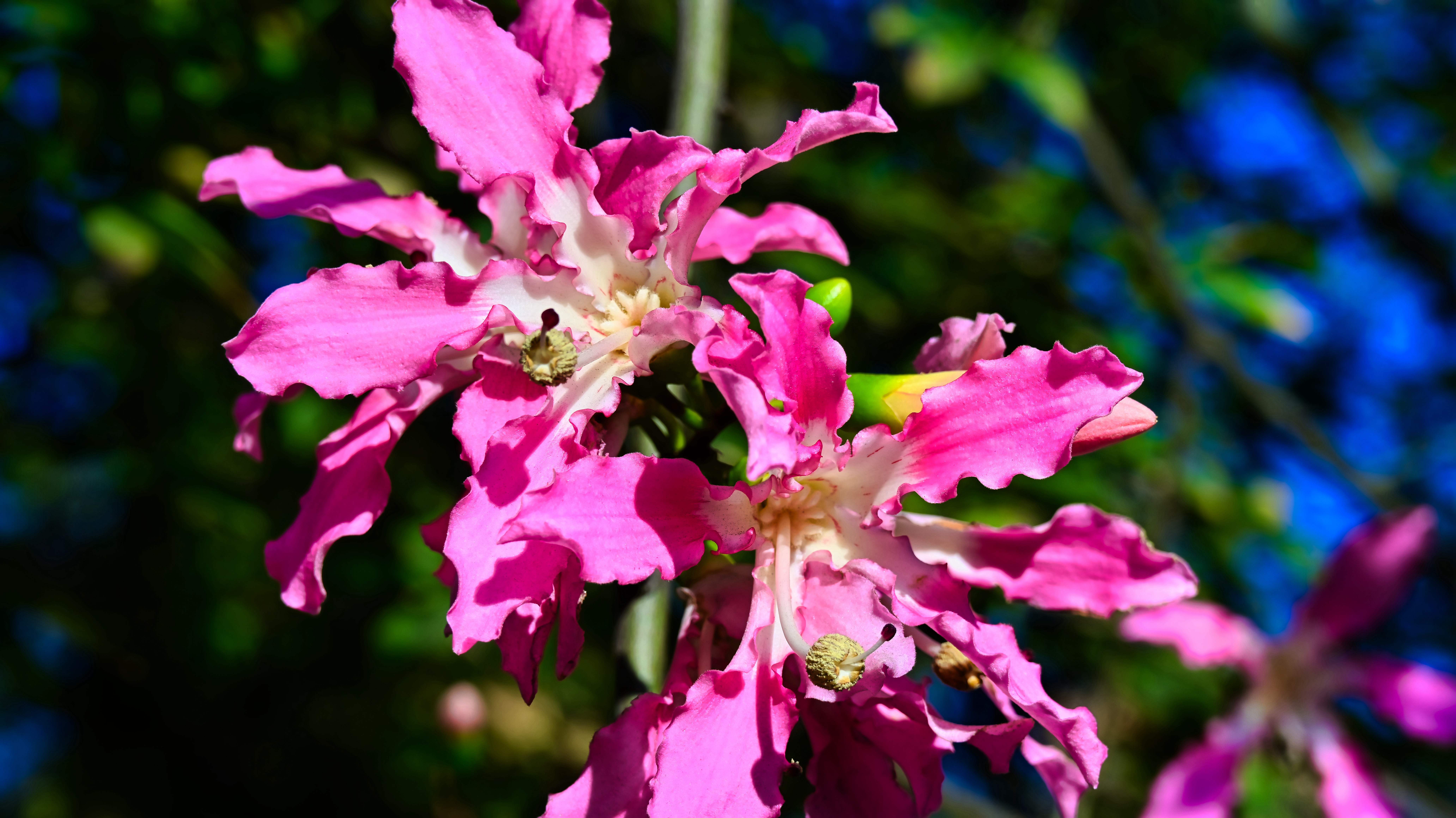 DSC_3226.jpg