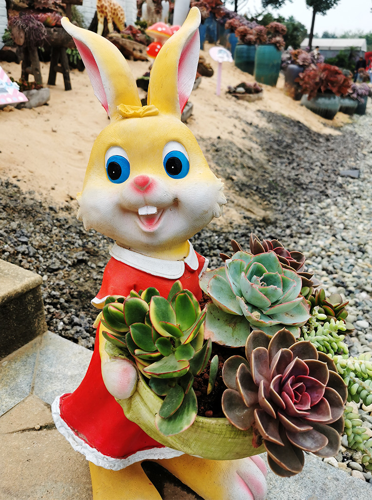 IMG_20221103_101129拷贝.jpg