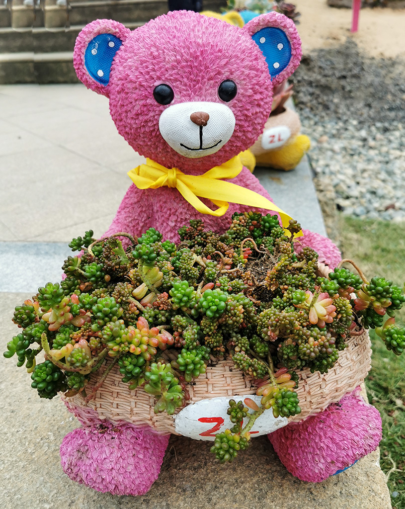 IMG_20221103_101055拷贝.jpg