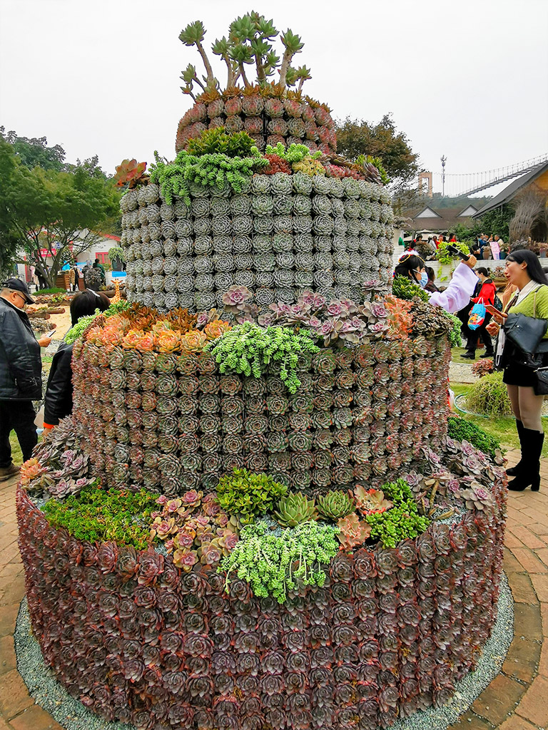 IMG_20221103_101018拷贝.jpg