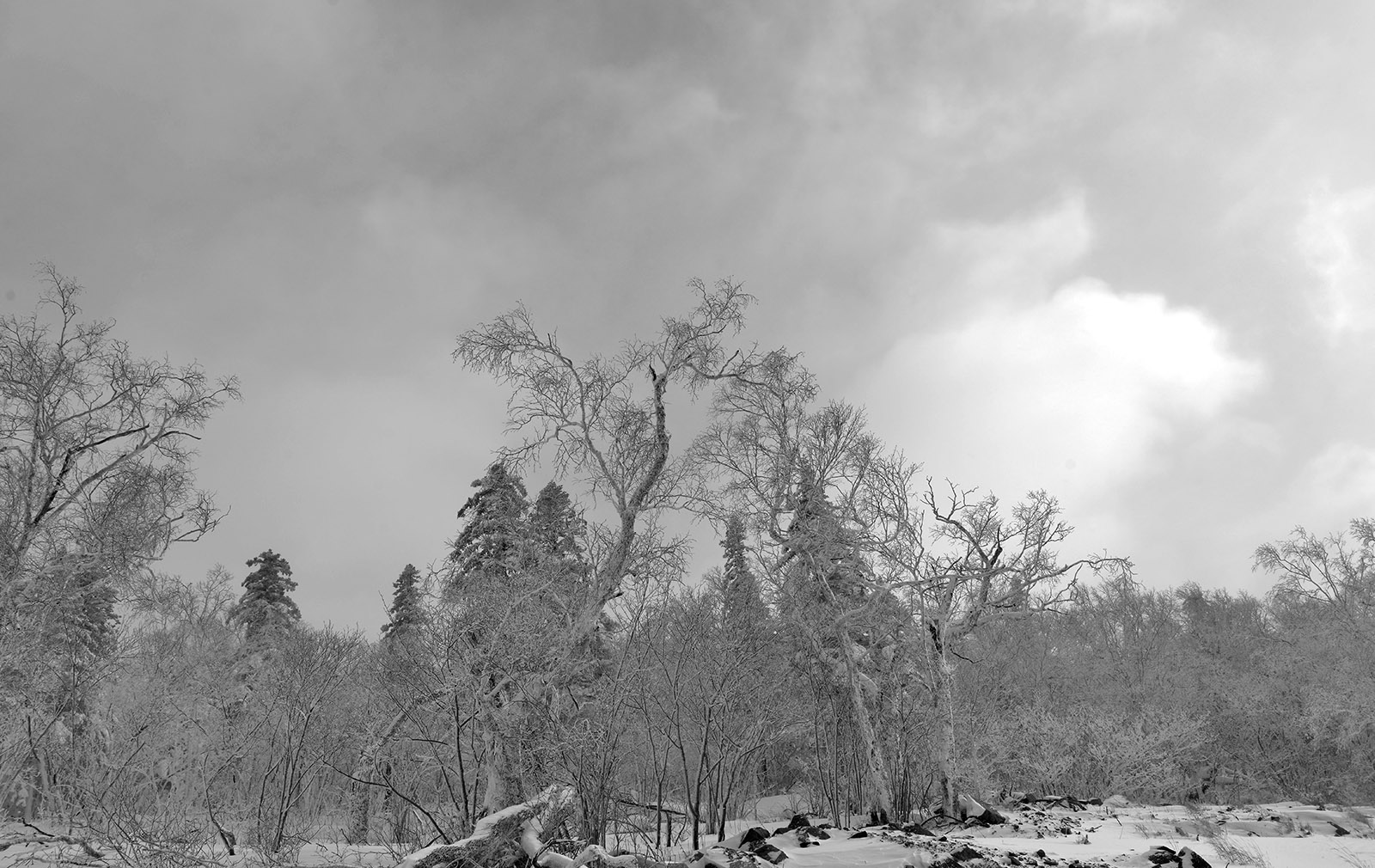 _DSC9702.JPG