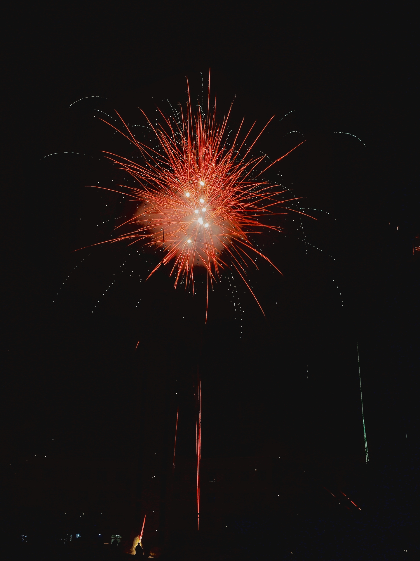 20230122001145_IMG_9731-01.jpeg